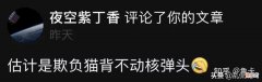 你以为战争只是影响了猫吗？
