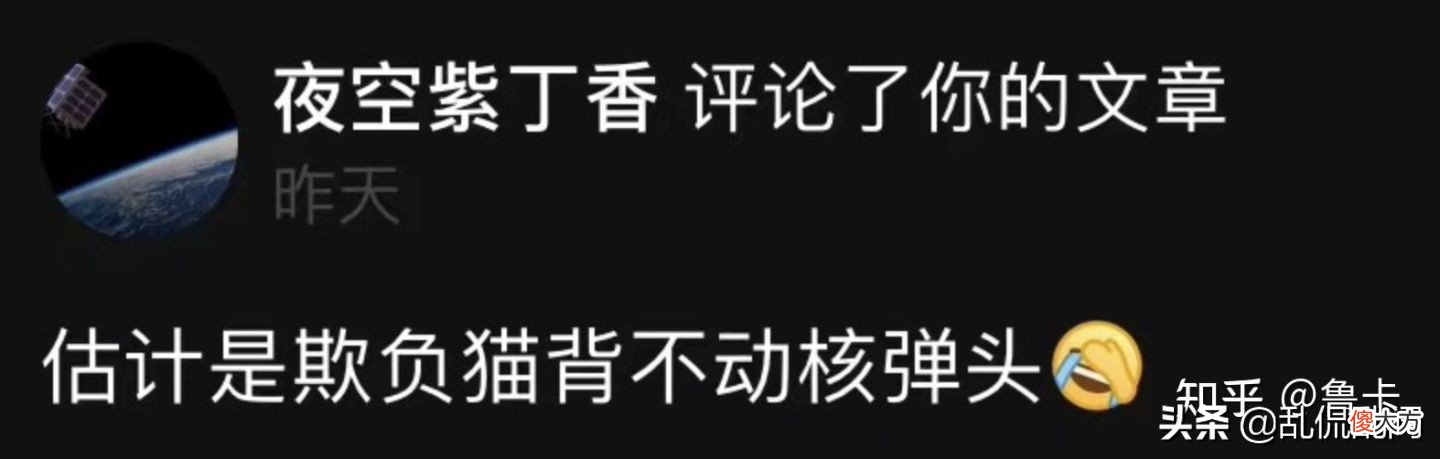 你以为战争只是影响了猫吗?