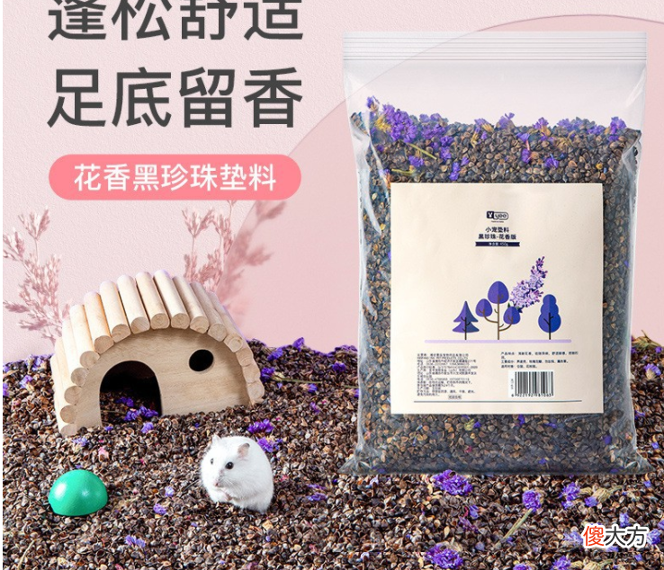 饲养仓鼠必备的条件 养仓鼠需要什么条件