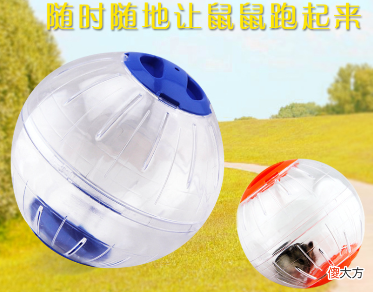 饲养仓鼠必备的条件 养仓鼠需要什么条件