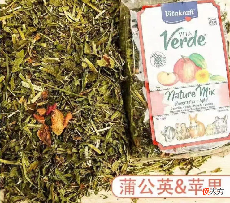 饲养仓鼠必备的条件 养仓鼠需要什么条件