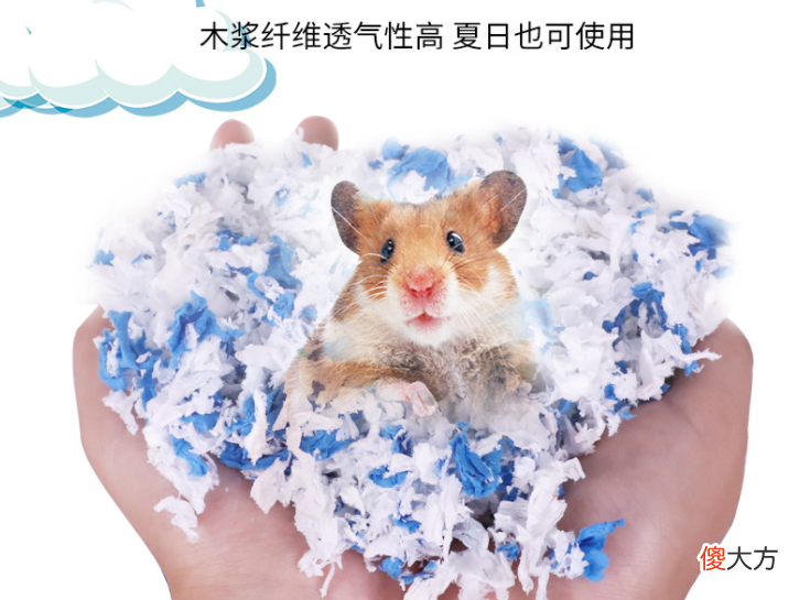 饲养仓鼠必备的条件 养仓鼠需要什么条件