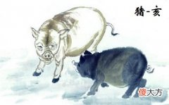 属猪2019年8月运势解析