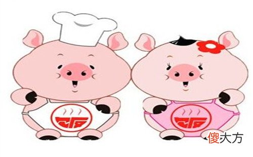 属猪人永远最旺颜色