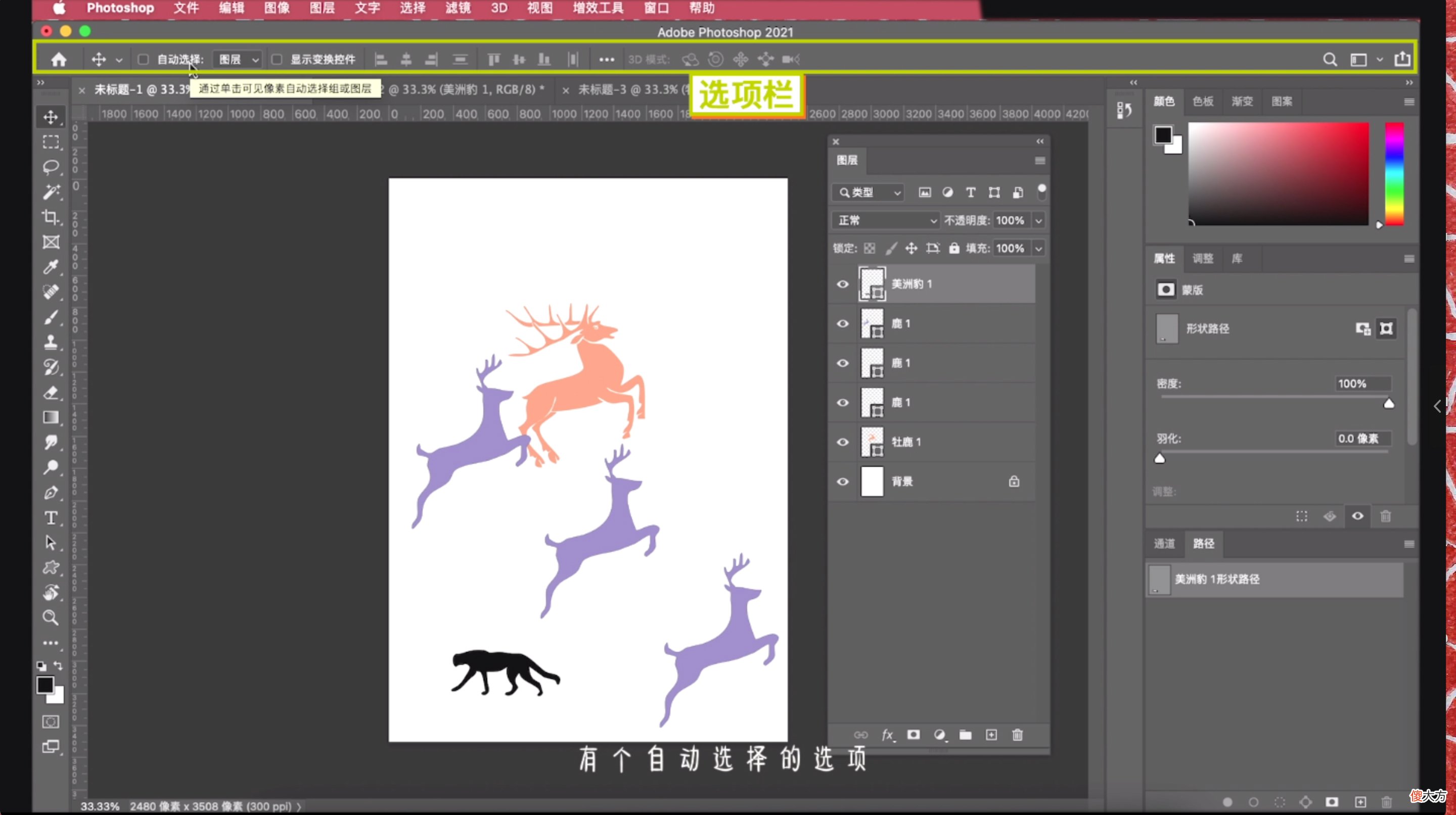 ps移动工具有哪些快捷键 ps中移动工具的快捷键是什么