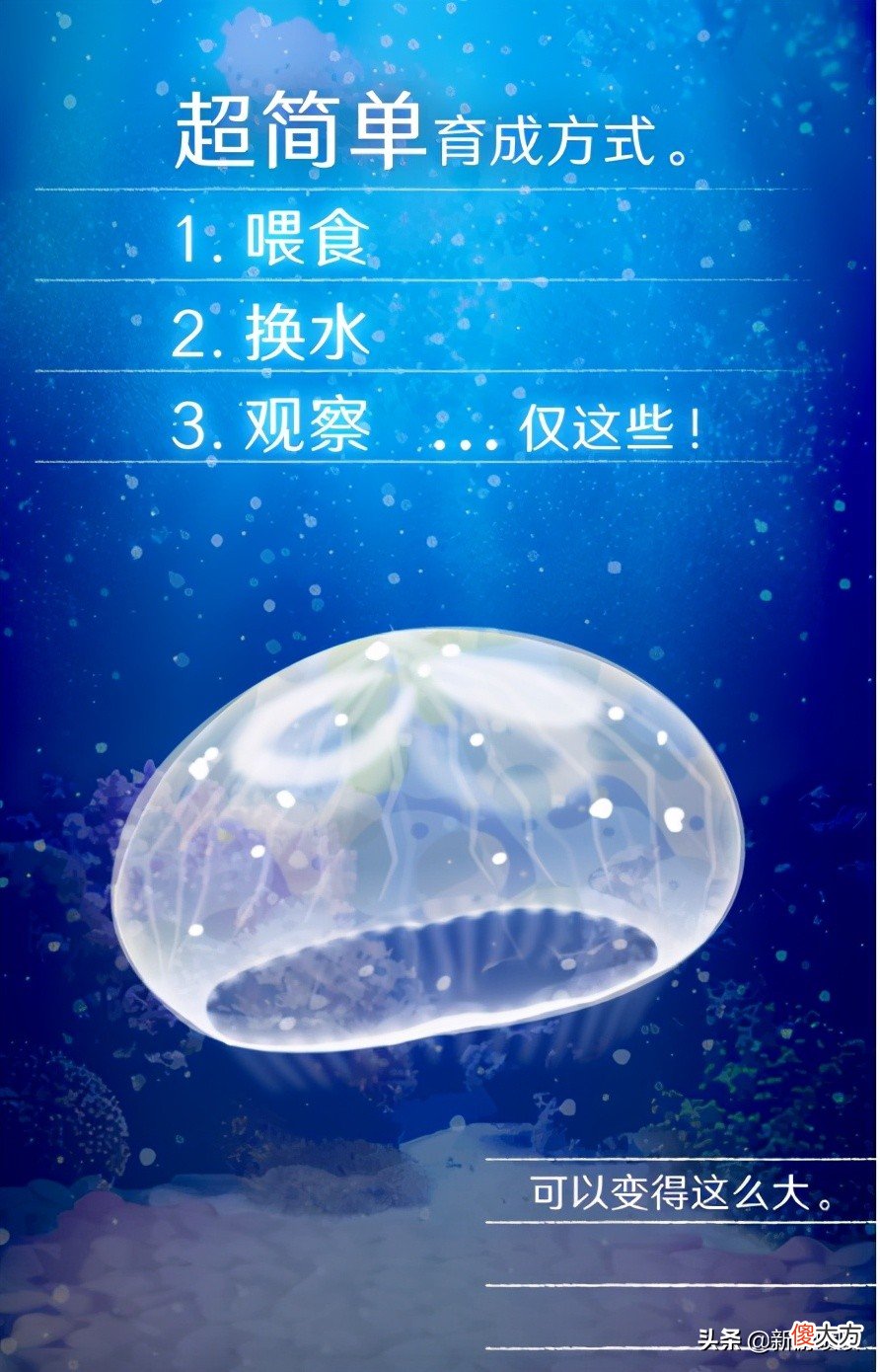 三款非常治愈的养宠物小游戏 最火的养宠物游戏大全