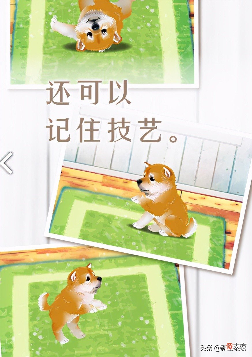 三款非常治愈的养宠物小游戏 最火的养宠物游戏大全