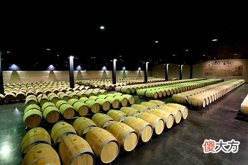 氧气在葡萄酒储运及货架展示中的作用