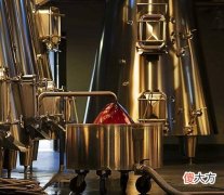 特别的品酒师——小白鼠