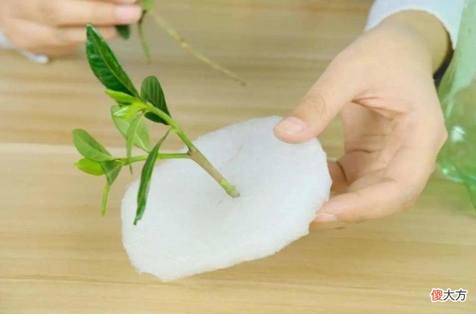 泡沫箱有什么用 泡沫箱有啥作用
