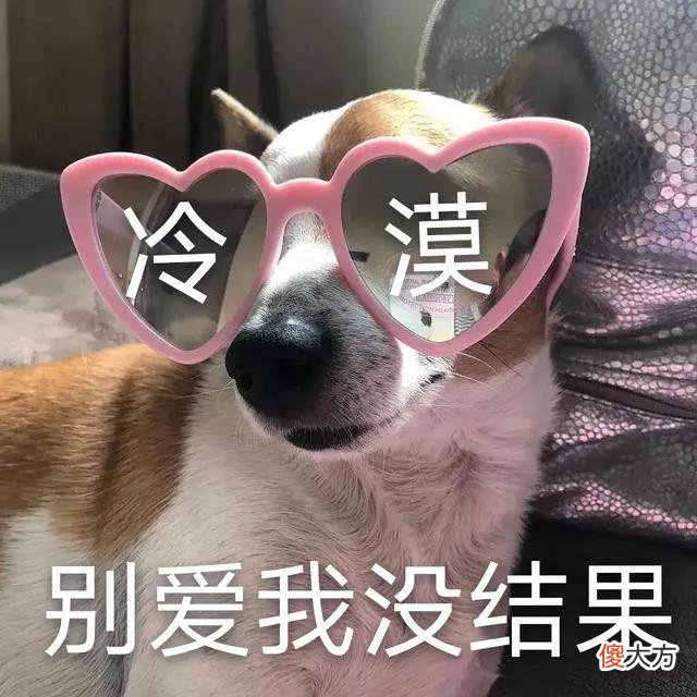 实用日语app推荐 日语口语app哪个好