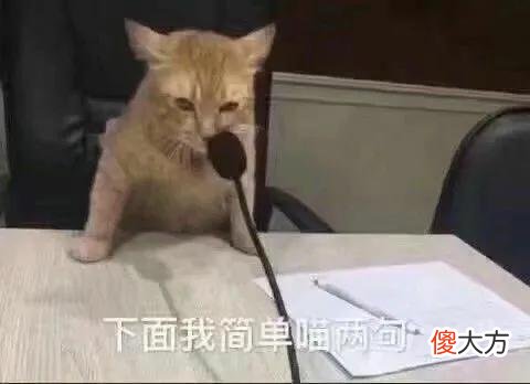 实用日语app推荐 日语语法app推荐