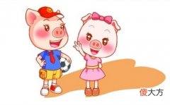 1995年属猪男人一生婚姻运势