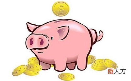属猪最适合佩戴什么生肖饰品