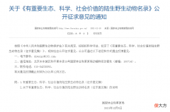 “三有”名录删除野猪，更要把握好捕杀与保护的度