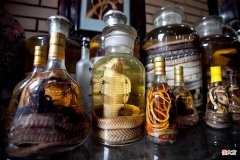 蛇酒是妙药还是泡蛇尸腐液 泡蛇酒是用活蛇还是死蛇