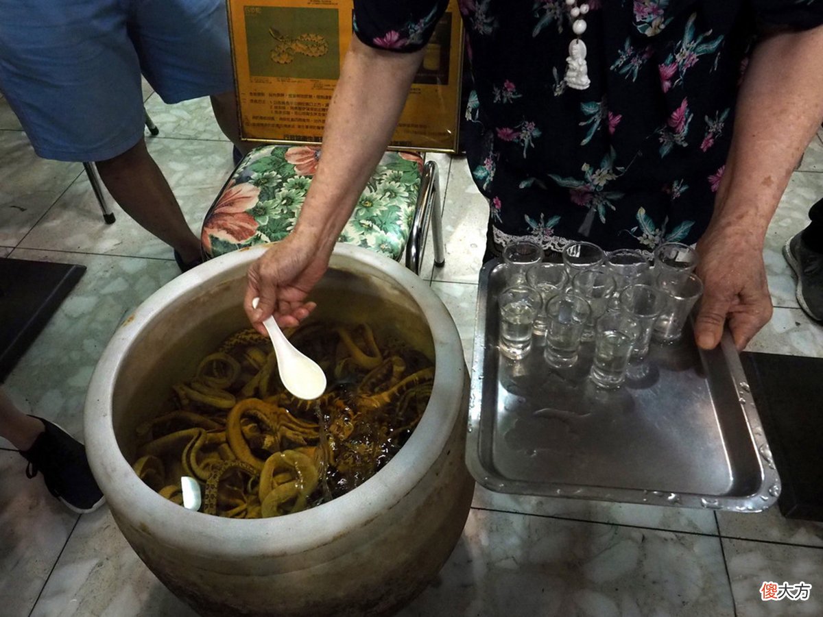 蛇酒是妙药还是泡蛇尸腐液 泡蛇酒是用活蛇还是死蛇