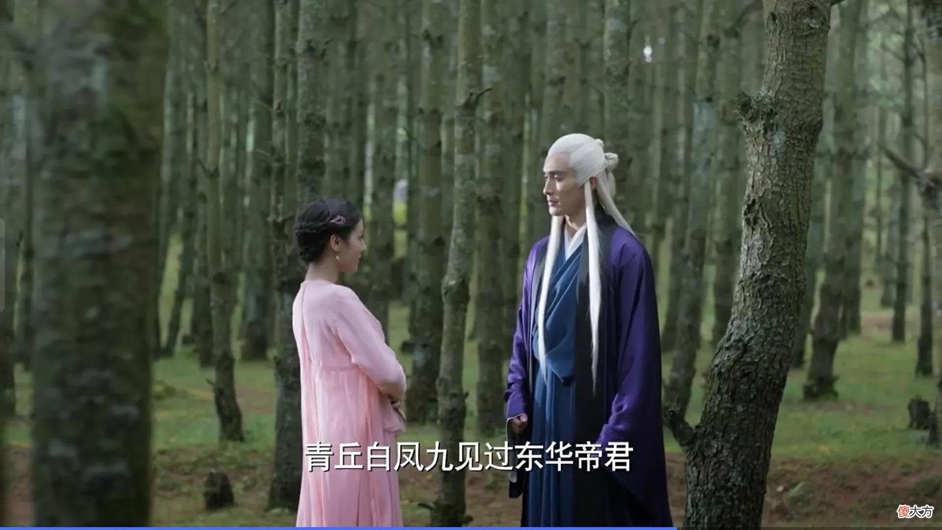 三生三世：情生情灭情如烟！凤九两生咒和东华爱情愿望实现了吗？