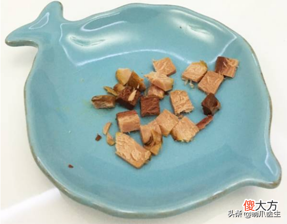 猫咪可以带出去遛弯吗 猫猫可以带出去遛弯吗