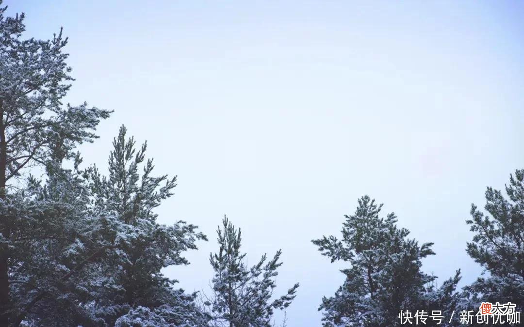 【星座控】恭喜三个生肖，5月初，桃花旺，事业顺，爱情和面包可以兼得