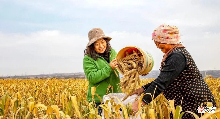 农民证有什么用| 农民证有什么用