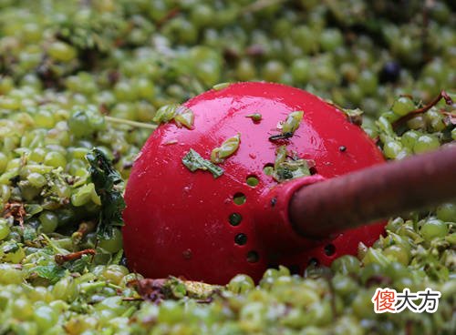 偲嘉梦酒庄在哪里 奥利维尔酒庄