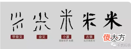 你知道稻作文明的起源地在长江 长江下游稻作文明