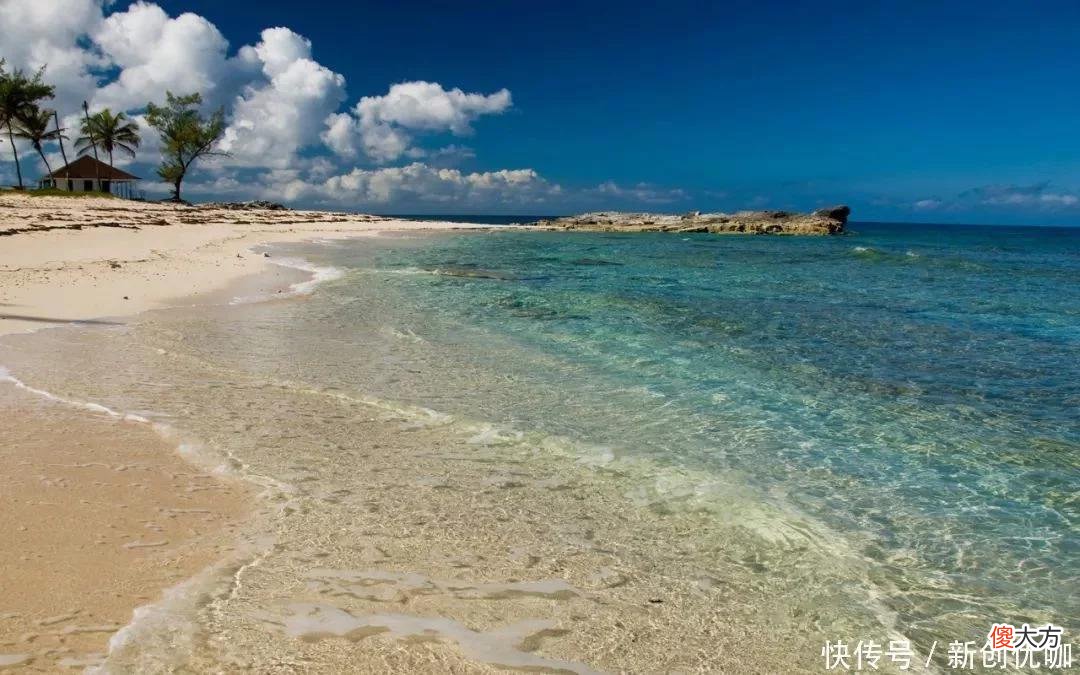 【十二星座】2022年，苦尽甘来，霉运退散，一顺百顺，有望梦想成真的三个生肖