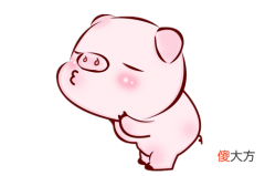 属猪的女人命好不好