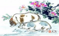 属猪的贵人是什么属相