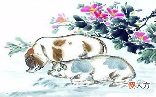 属猪的贵人是什么属相