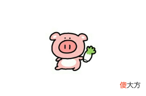 属猪本命年是哪一年