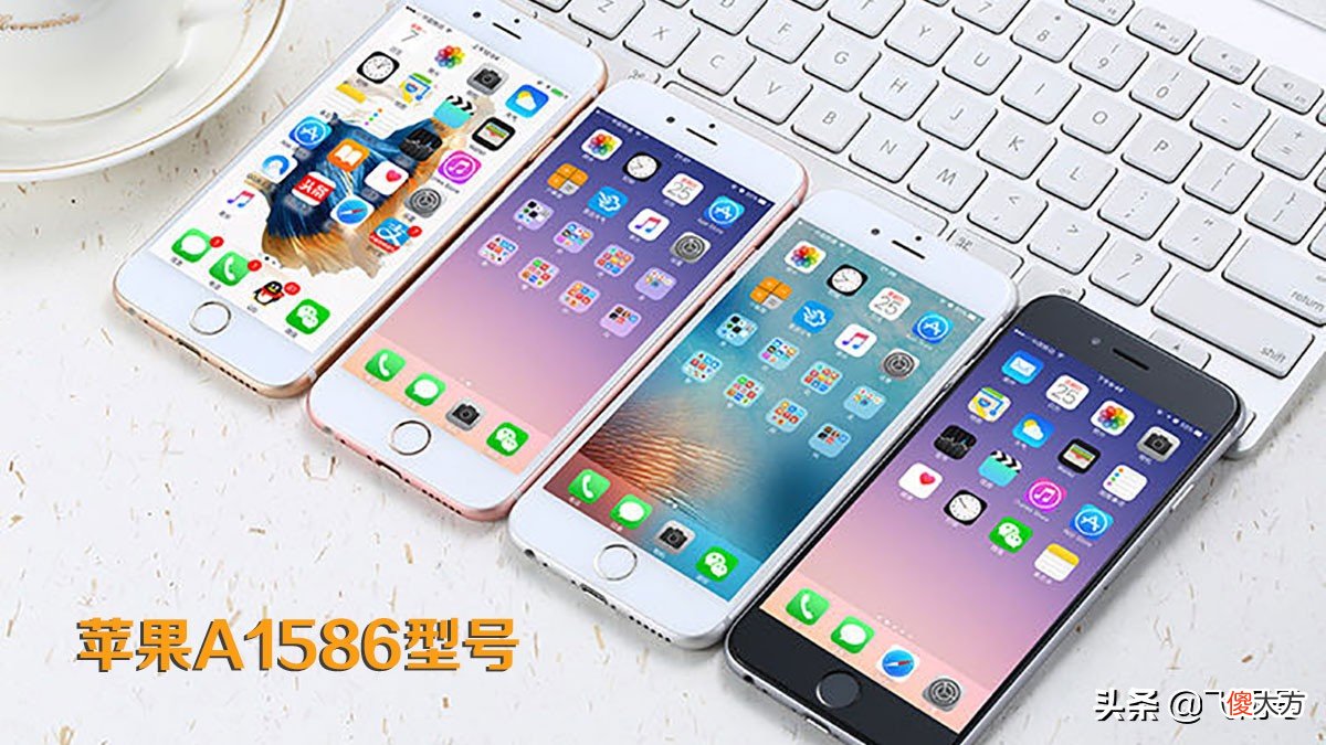 苹果A1586是什么型号 苹果a1586是什么型号手机