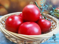 10种不宜放冰箱的食材 三种不能放冰箱的食物