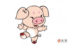 属猪哪天出生最好命