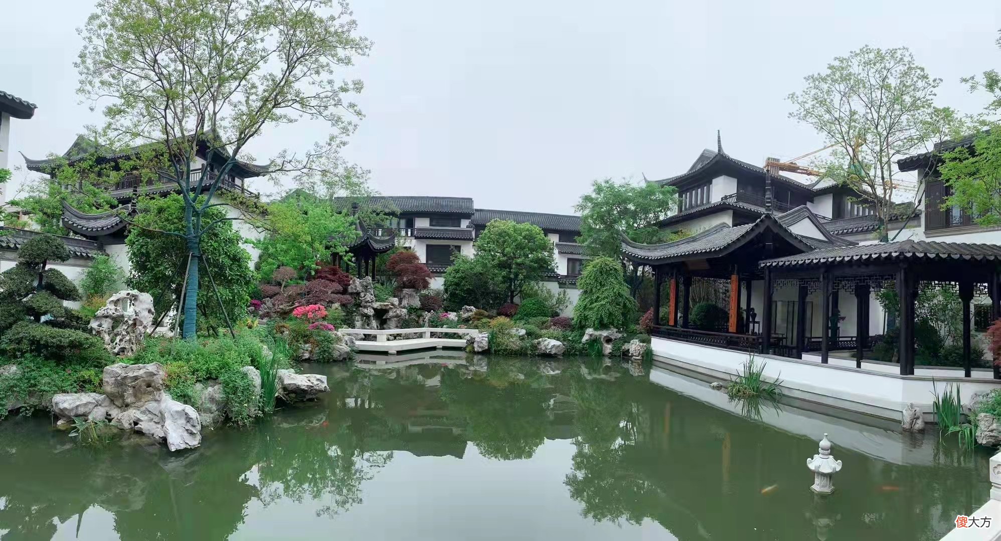 明月恋着彩云飞，你和爱人的气质相投吗？