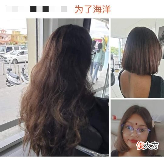 关于毛里求斯的25个冷知识,您知道几个?