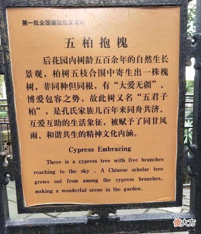 山东曲阜三孔中的妙趣 山东曲阜三孔内的典故