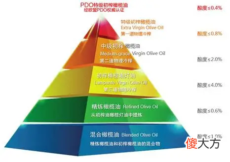 世界上究竟有多少种可以吃的油 世界上有几种油?