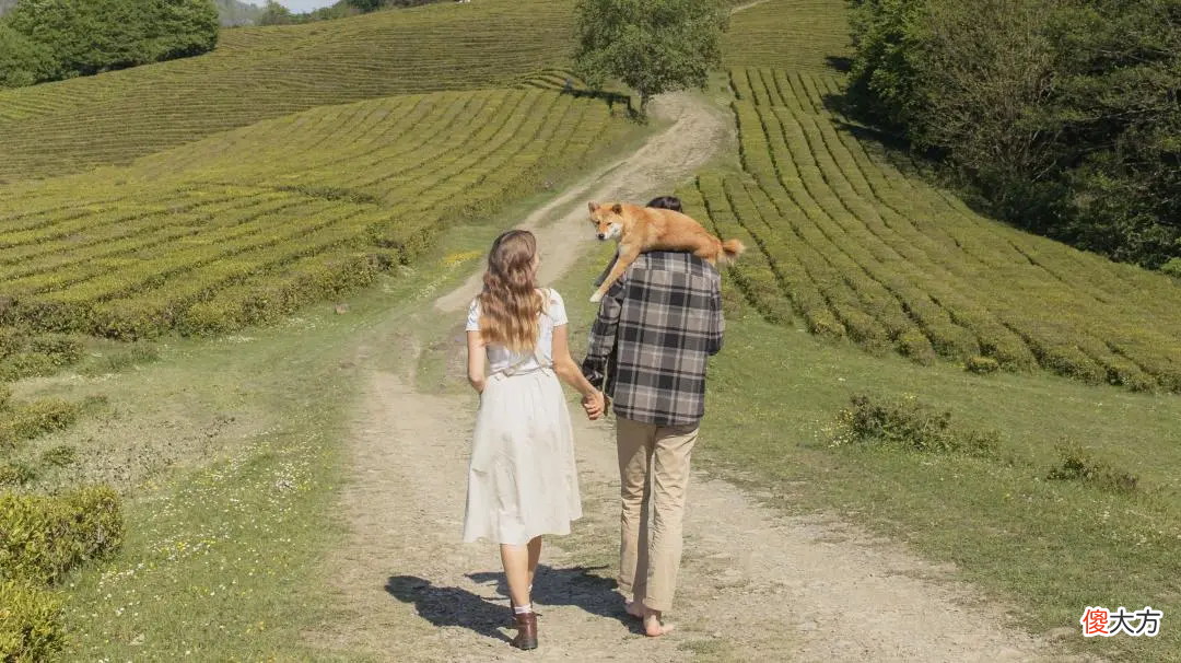 情侣的英文是couple 关于情侣的英文