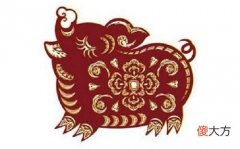 属猪适合什么颜色