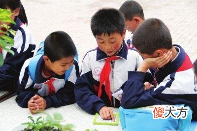 大中小学的开学时间有所调整 小学可调整开学时间