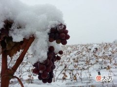 私人订制红酒西安 西安市红酒批发市场在哪里