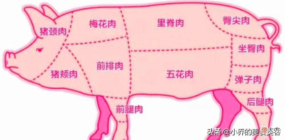 猪身上的部位图 猪身上的部位图片