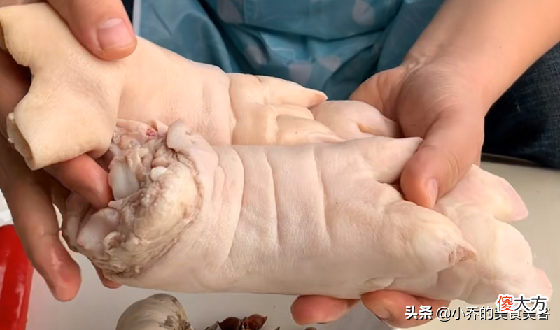 猪身上的部位图 猪身上的部位图片