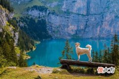 82年属狗人三大坎是什么