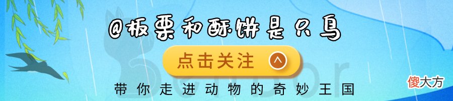 锋利的牙齿却不能切割和咀嚼 牙齿能切割吗