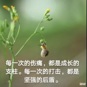 短视频内容制作的这些小窍门你学会了吗 短视频应该怎么做