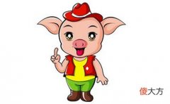 属猪的名人和明星