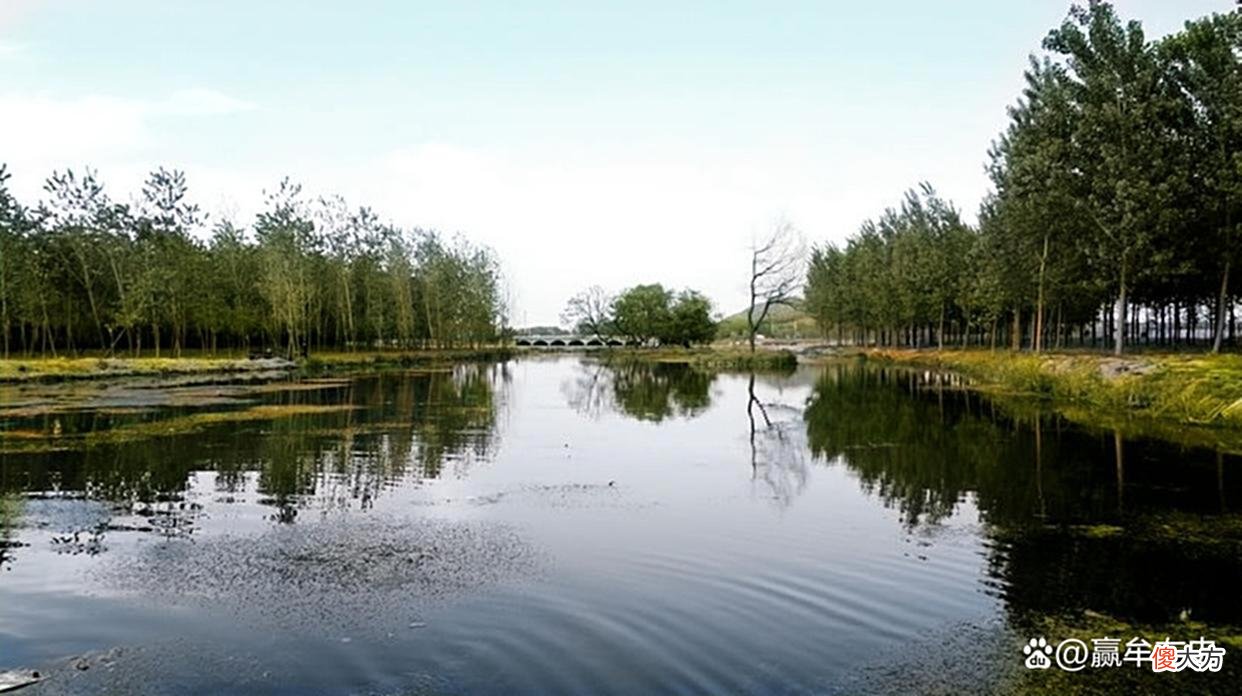 【历史故事】老照片：90年代的山东莒南，鸡笼河、县一中、莒南影院、天桥路